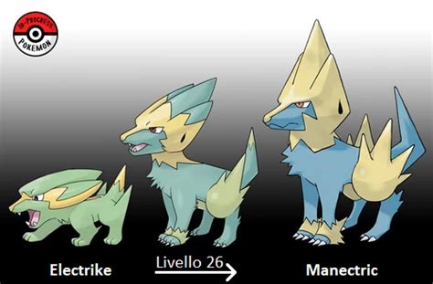 manectric evolution|when does manectric evolve.